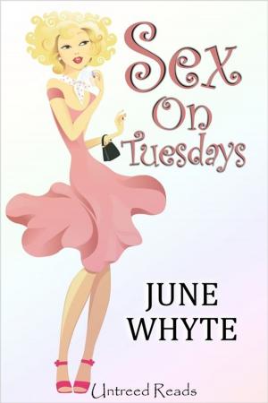 Cover of the book Sex on Tuesdays by New York Tri-State Chapter of Sisters in Crime, Terrie Farley Moran, Clare Toohey, Catherine Maiorisi, Cynthia Benjamin, Susan Chalfin, Fran Cox, Laura K. Curtis, Eileen Dunbaugh, Lois Karlin, Lynne Lederman, Leigh Neely, Anita Page, Triss Stein, Cathi Stoler, Anne-Marie Sutton, Joan Tuohy, Deirdre Verne, Stephanie Wilson-Flaherty, Lina Zeldovich, Elizabeth Zelvin, K.J.A. Wishnia