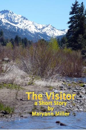 Cover of the book The Visitor by Mary Rawnsley