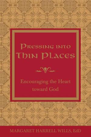 Cover of the book Pressing into Thin Places by Ashu Bhatia
