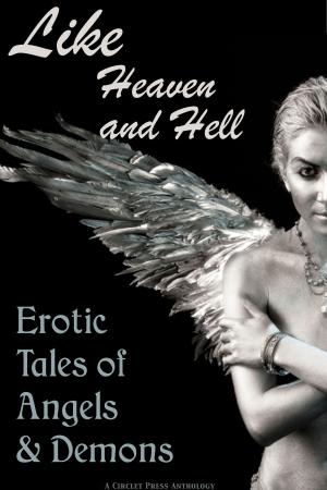 Book cover of Like Heaven and Hell: Erotic Tales of Angels and Demons