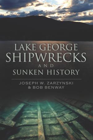 Book cover of Lake George Shipwrecks and Sunken History