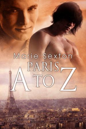 Cover of the book Paris A to Z by Hayley B. James