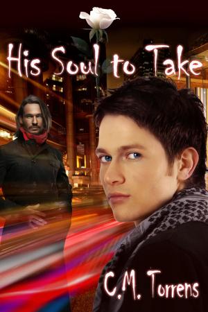 Cover of the book His Soul to Take by Geoff Laughton