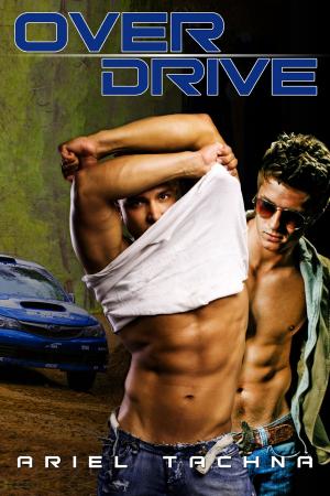Cover of the book Overdrive by S. E. GILCHRIST