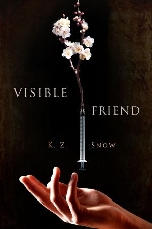 Cover of the book Visible Friend by Amy Lane