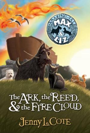 Cover of the book The Ark, the Reed, and the Fire Cloud by C. S. Lakin