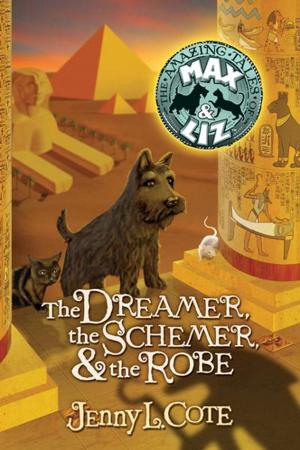 Cover of the book The Dreamer, the Schemer, and the Robe by Jeannie St. John Taylor, Petey Prater