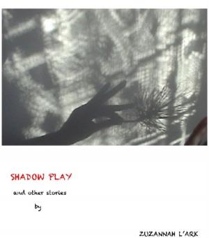 Cover of the book SHADOW PLAY and other stories by Brian M. Porter
