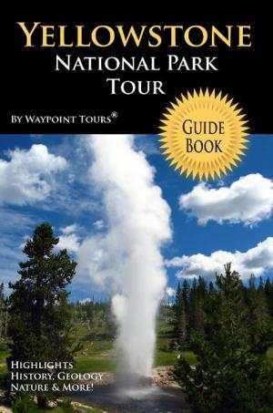 Cover of the book Yellowstone National Park Tour Guide eBook by Mimizz Efemena Agwarota, Andrew Omorojor