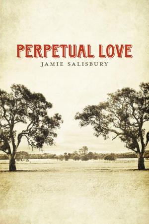 Cover of the book Perpetual Love by J R Salisbury