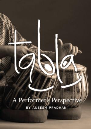 Cover of the book Tabla: A Performer's Perspective by N. Lynn Mathews