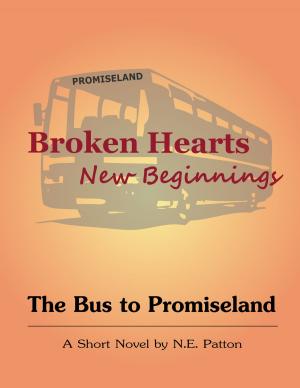 Cover of the book Broken Hearts, New Beginnings - The Bus to Promiseland by Milou Koenings