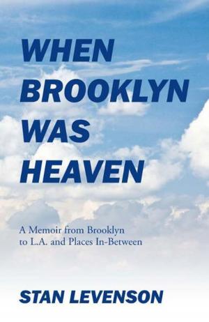 Cover of the book When Brooklyn Was Heaven by Rowena Portch
