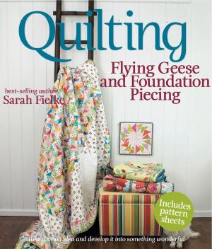 Book cover of Quilting: Flying Geese and Foundation Piecing