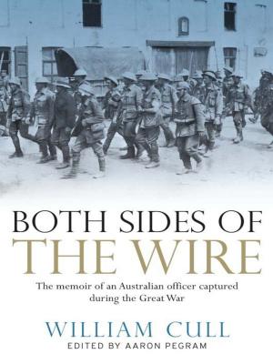 Cover of the book Both Sides of the Wire by Julie Hunt, Beth Norling