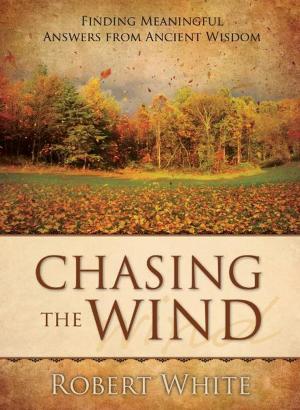 Book cover of Chasing the Wind: Finding Meaningful Answers from Ancient Wisdom