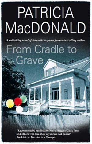Cover of the book From Cradle to Grave by Adam Sternbergh