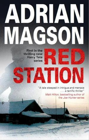 Cover of the book Red Station by Sarah Rayne