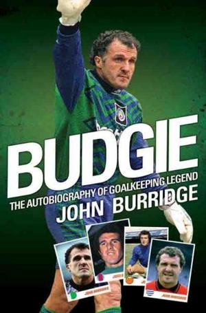 Cover of the book Budgie by David O'Dornan