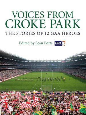 Cover of Voices from Croke Park