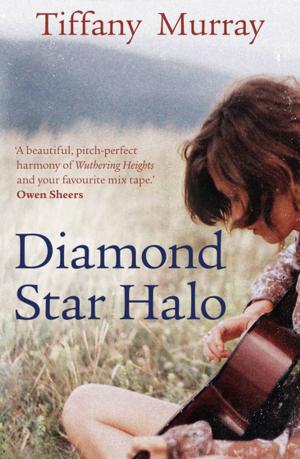 Cover of the book Diamond Star Halo by Gudrun Eva Minervudottir