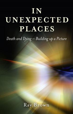 Cover of the book In Unexpected Places by Sinead Murphy