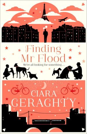 Cover of the book Finding Mr Flood by Glenn Ward