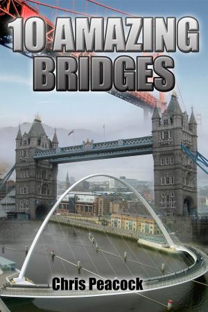 Book cover of 10 Amazing Bridges