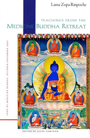Book cover of Teachings From the Medicine Buddha Retreat