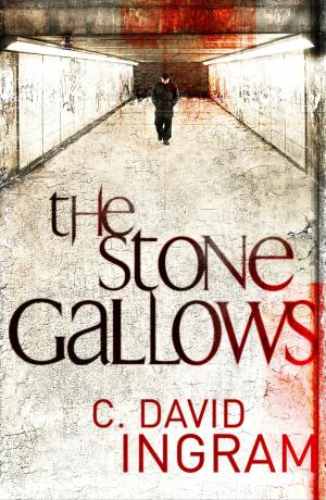 Book cover of The Stone Gallows The First DI Stone Crime Thriller