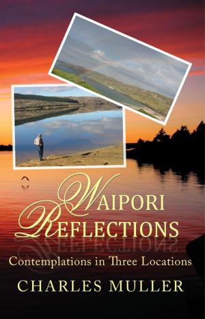 Cover of the book Waipori Reflections by Tony Amca