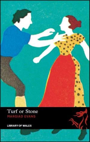 Cover of the book Turf or Stone by Nigel Jarrett