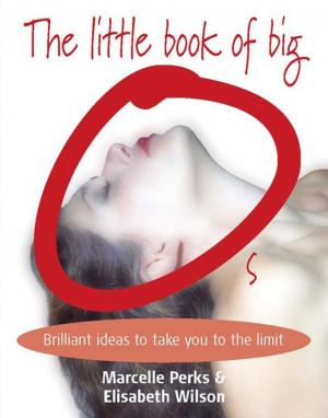 Cover of the book Little Book of Big Os by Funke Akoni