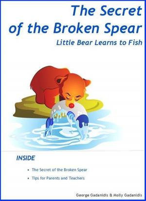 Book cover of The Secret of the Broken Spear