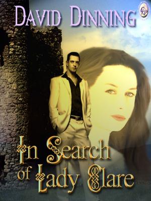 Cover of the book IN SEARCH OF LADY CLARE by VAUGHN TUNSTALL