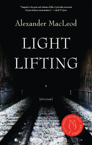 Cover of the book Light Lifting by Clark Blaise