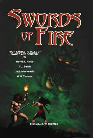 Cover of the book Swords of Fire 1 by N. R. Eccles-Smith