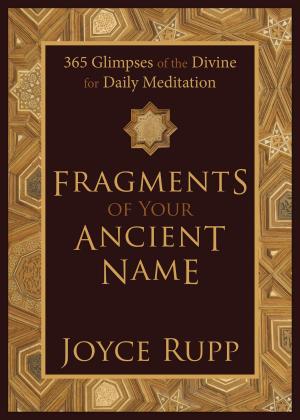 Cover of the book Fragments of Your Ancient Name by Lindsay Schlegel