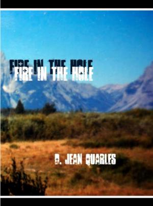 Cover of the book Fire in the Hole by Jenika Snow, Sam Crescent