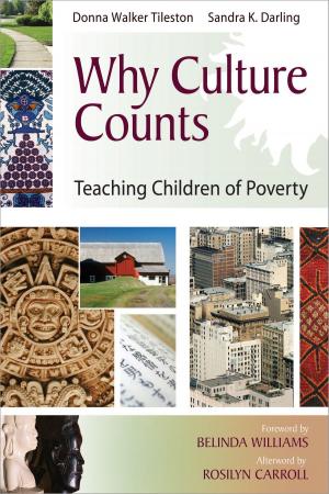 Cover of the book Why Culture Counts by Allen N. Mendler, Brian D. Mendler
