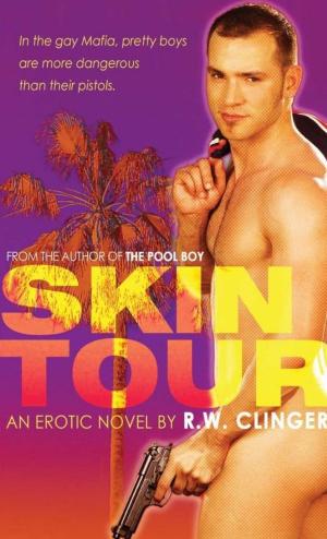 Cover of the book Skin Tour by Eric Summers