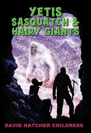 Book cover of Yeti, Sasquatch & Hairy Giants