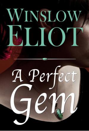 Book cover of A Perfect Gem