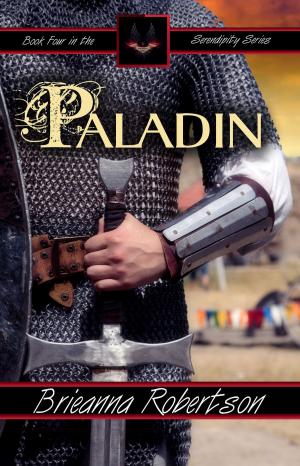 Cover of the book Paladin by Melissa Saari