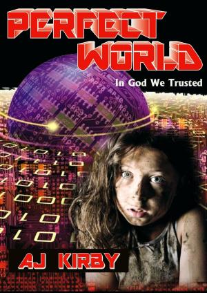 Book cover of Perfect World