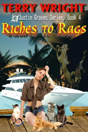 Cover of the book Riches to Rags by Terry Wright