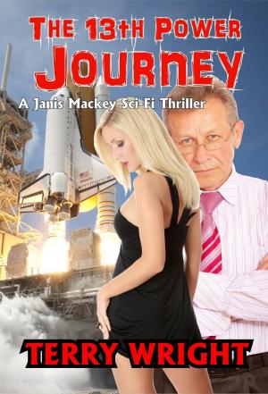 Cover of the book The 13th Power Journey by Shanaya Fastje