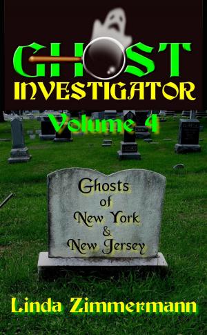 Book cover of Ghost Investigator Volume 4