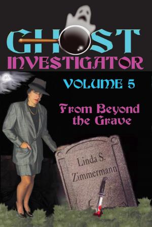 Book cover of Ghost Investigator Volume 5: From Beyond the Grave