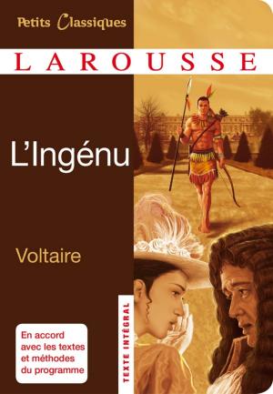 Cover of the book L'Ingénu by Anaïs Galon